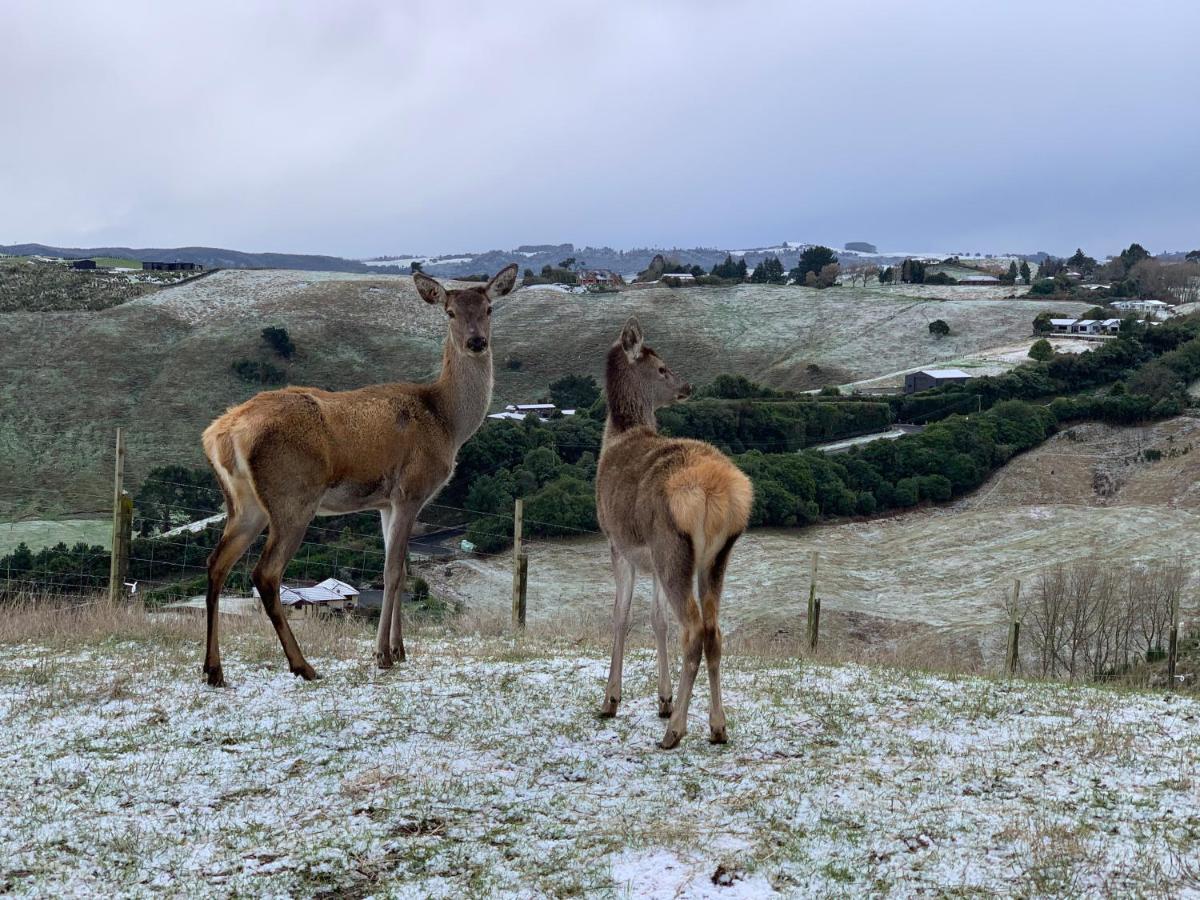 Hilltop Whakaipo Estate Taupo Eksteriør bilde