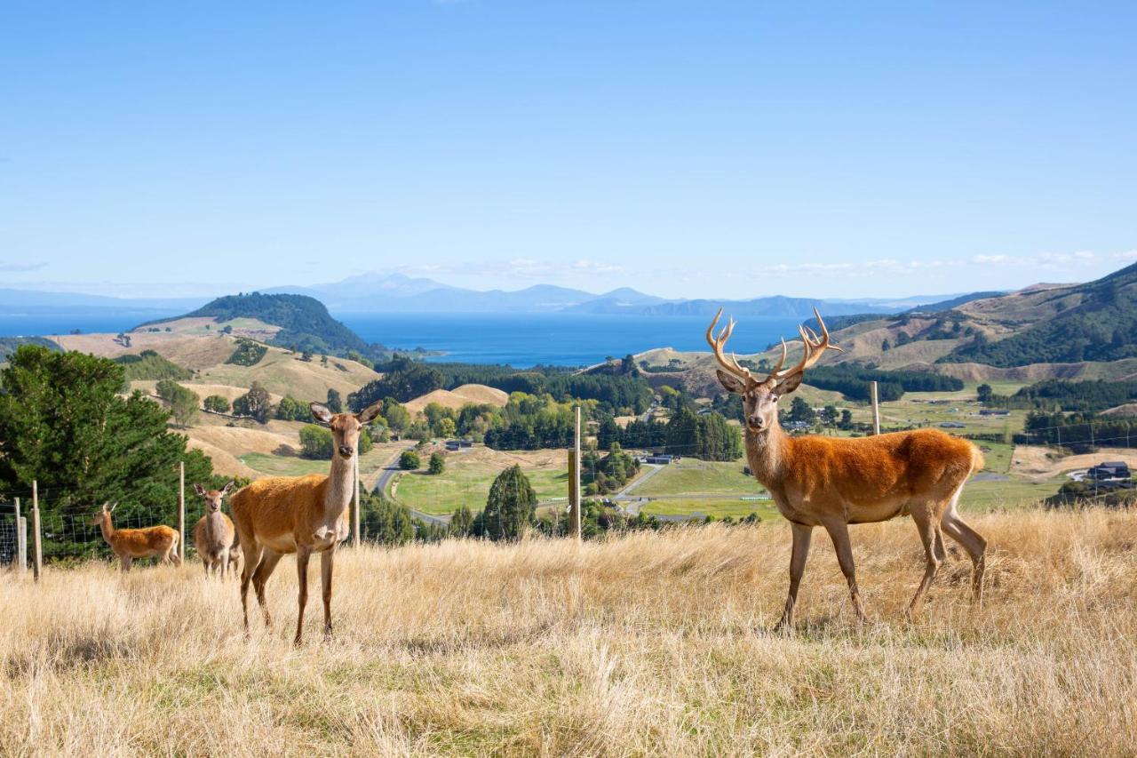 Hilltop Whakaipo Estate Taupo Eksteriør bilde