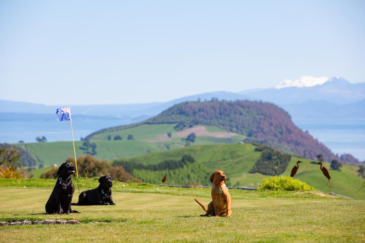 Hilltop Whakaipo Estate Taupo Eksteriør bilde