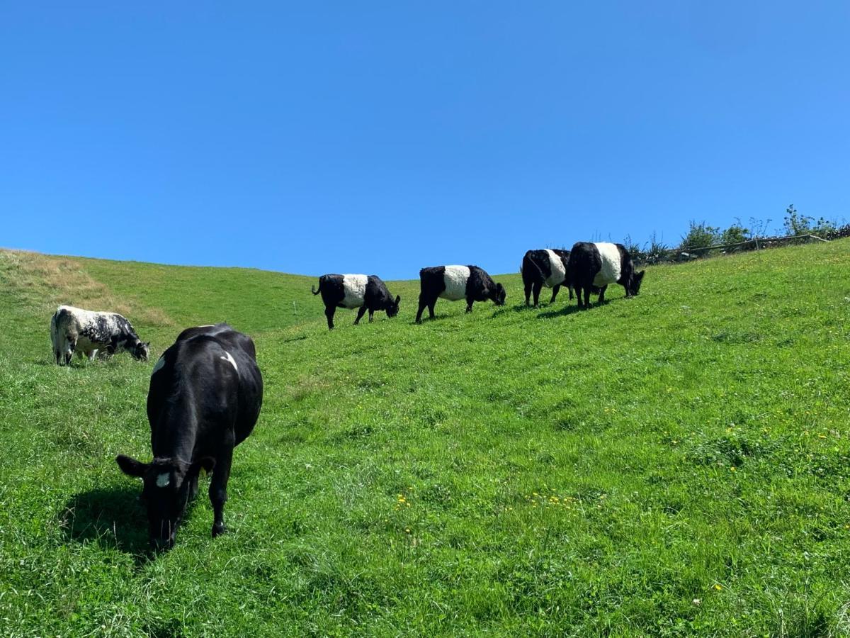 Hilltop Whakaipo Estate Taupo Eksteriør bilde