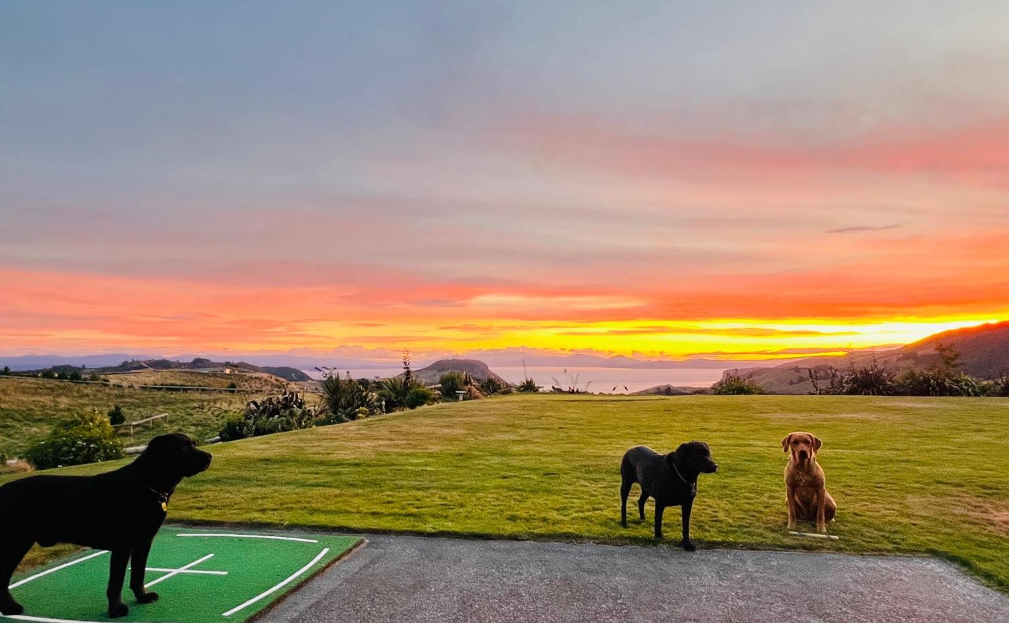 Hilltop Whakaipo Estate Taupo Eksteriør bilde