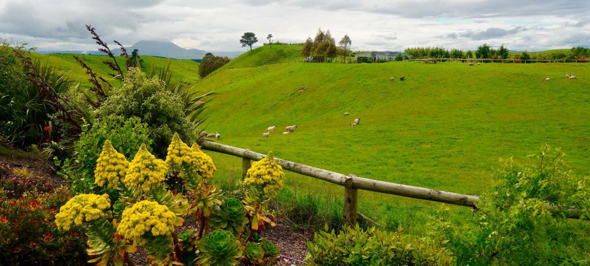 Hilltop Whakaipo Estate Taupo Eksteriør bilde