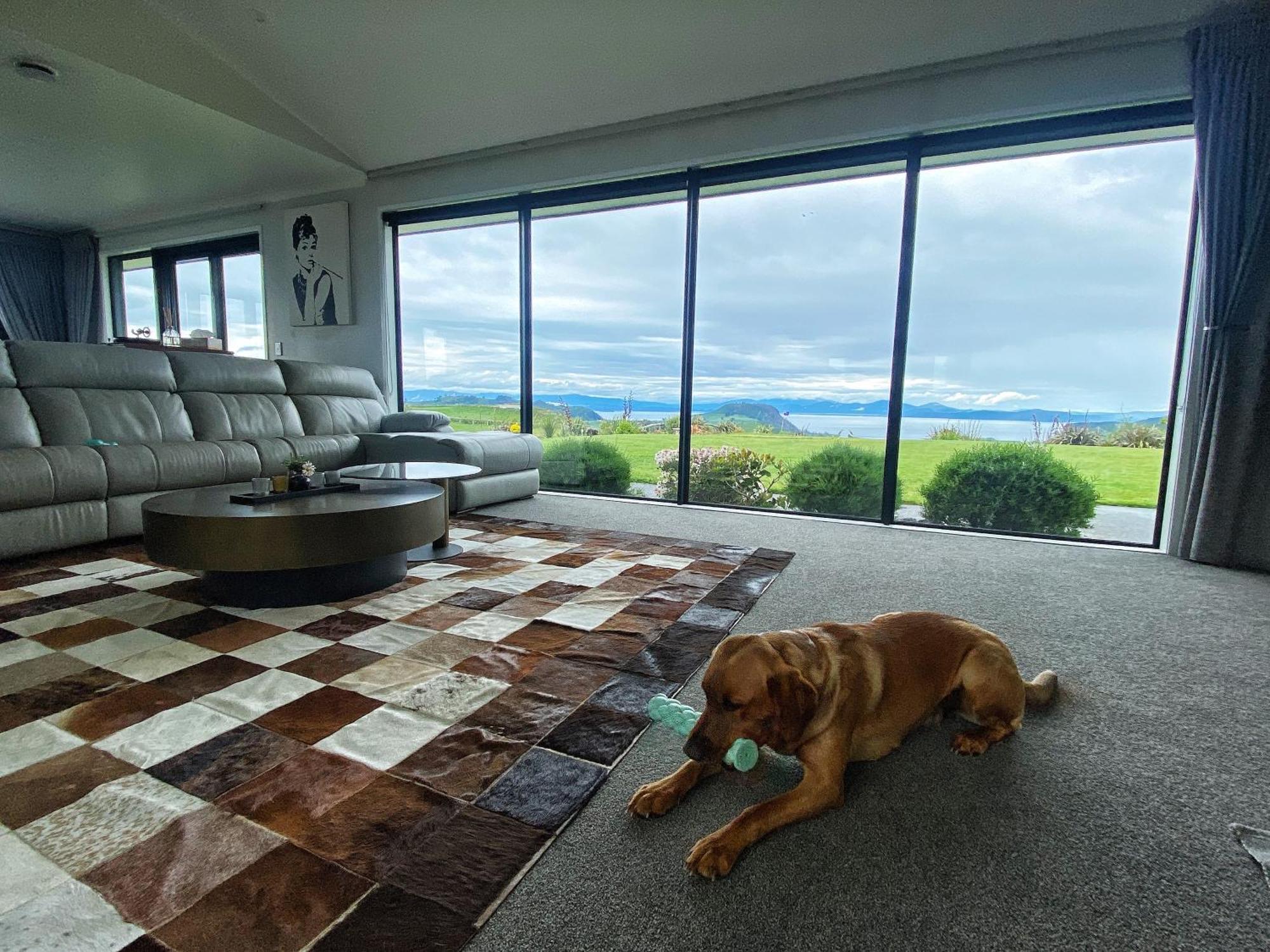 Hilltop Whakaipo Estate Taupo Eksteriør bilde