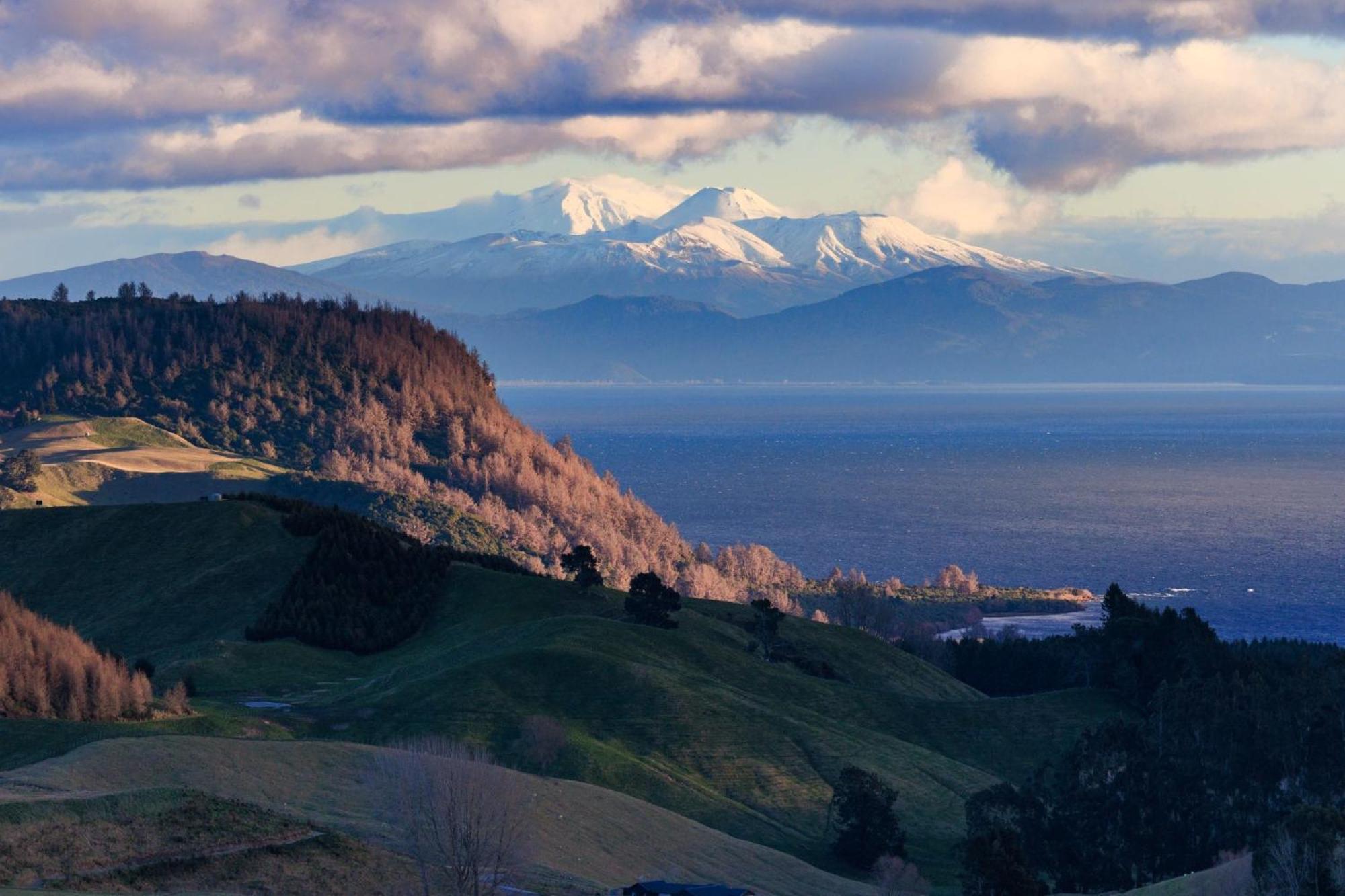 Hilltop Whakaipo Estate Taupo Eksteriør bilde