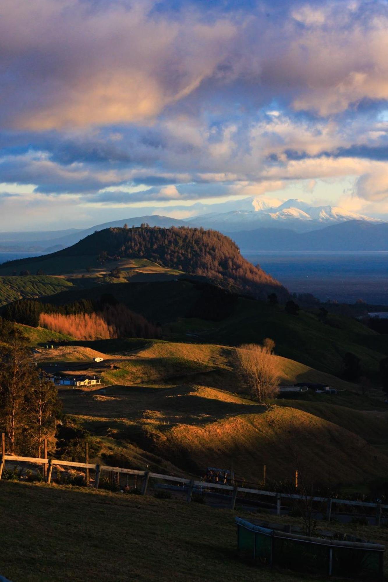 Hilltop Whakaipo Estate Taupo Eksteriør bilde