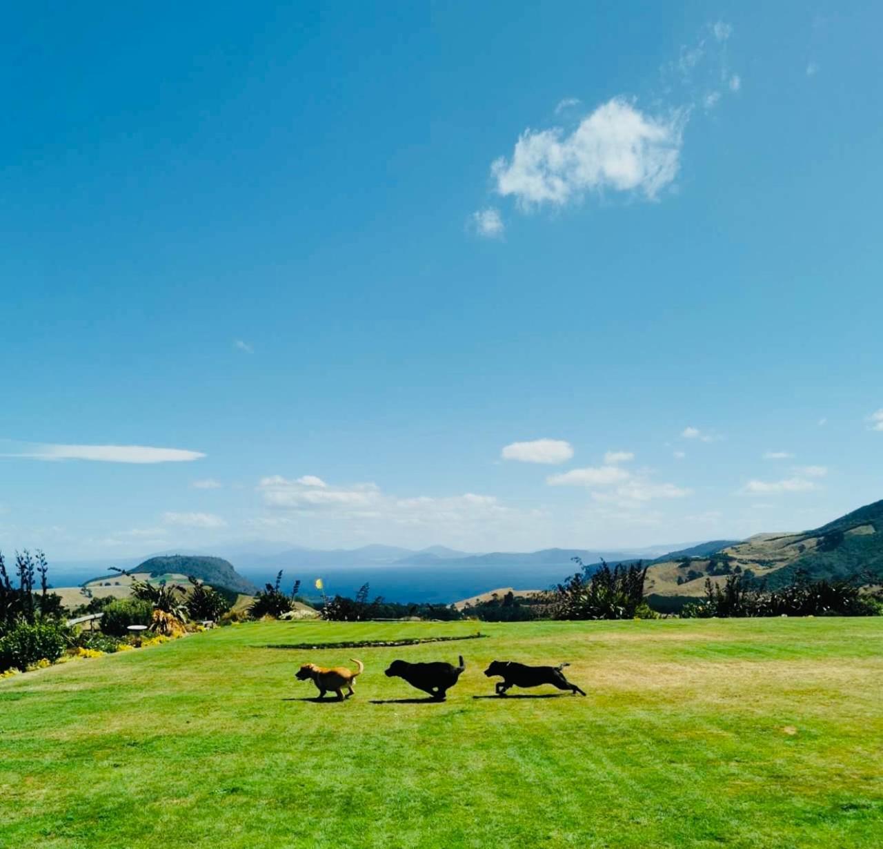 Hilltop Whakaipo Estate Taupo Eksteriør bilde