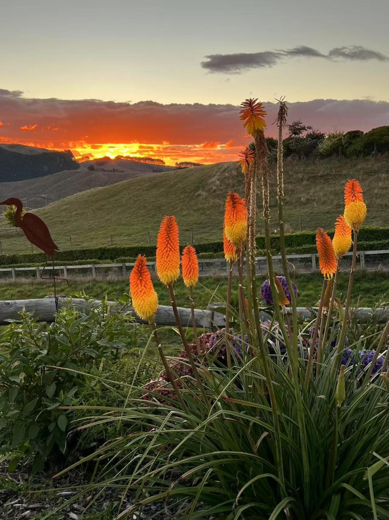 Hilltop Whakaipo Estate Taupo Eksteriør bilde